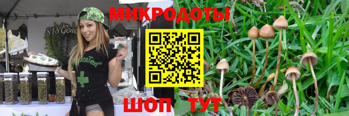 цены наркотик  Вход с VPN  Вышний Волочёк  Псилоцибиновые грибы Magic Shrooms 
