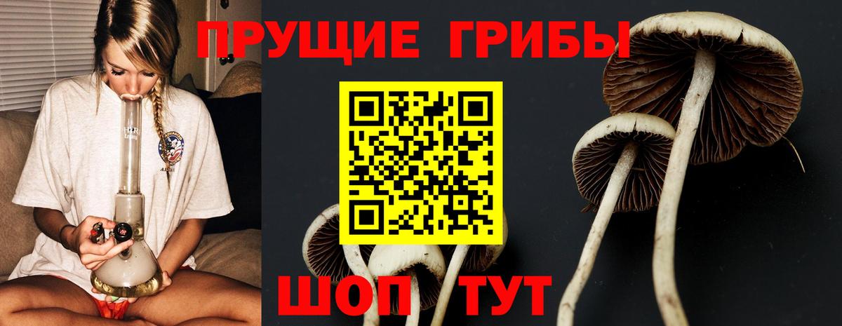 Псилоцибиновые грибы мицелий Вышний Волочёк