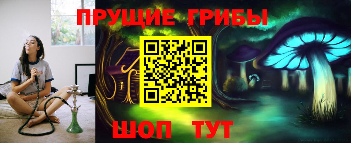 Галлюциногенные грибы Вышний Волочёк